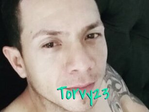 Torvy23