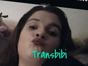 Transbibi