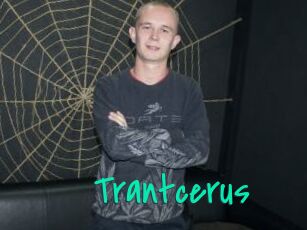 Trantcerus