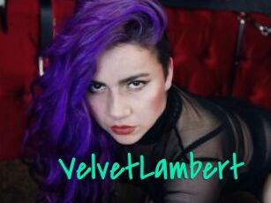 VelvetLambert