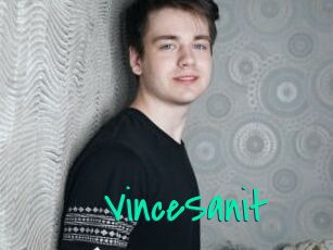 VinceSanit