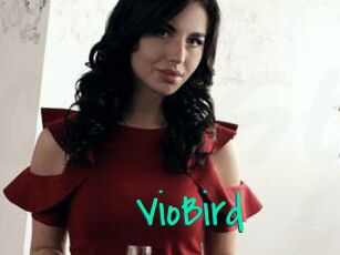 VioBird