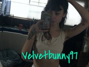 Velvetbunny97