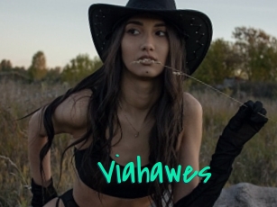 Viahawes