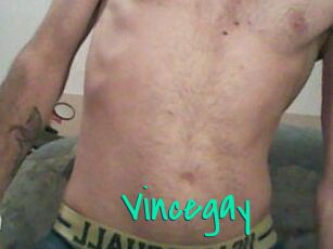 Vincegay