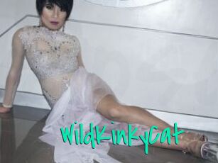 WildKinkyCat