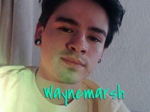 Waynemarsh