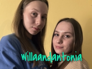 Willaandantonia