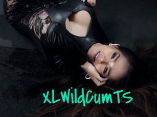 XLWildCumTS