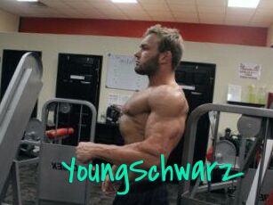 YoungSchwarz