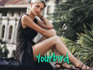 Yourbird