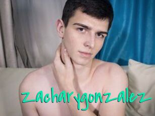 Zacharygonzalez