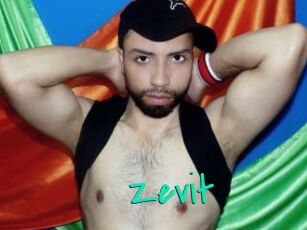 Zevit